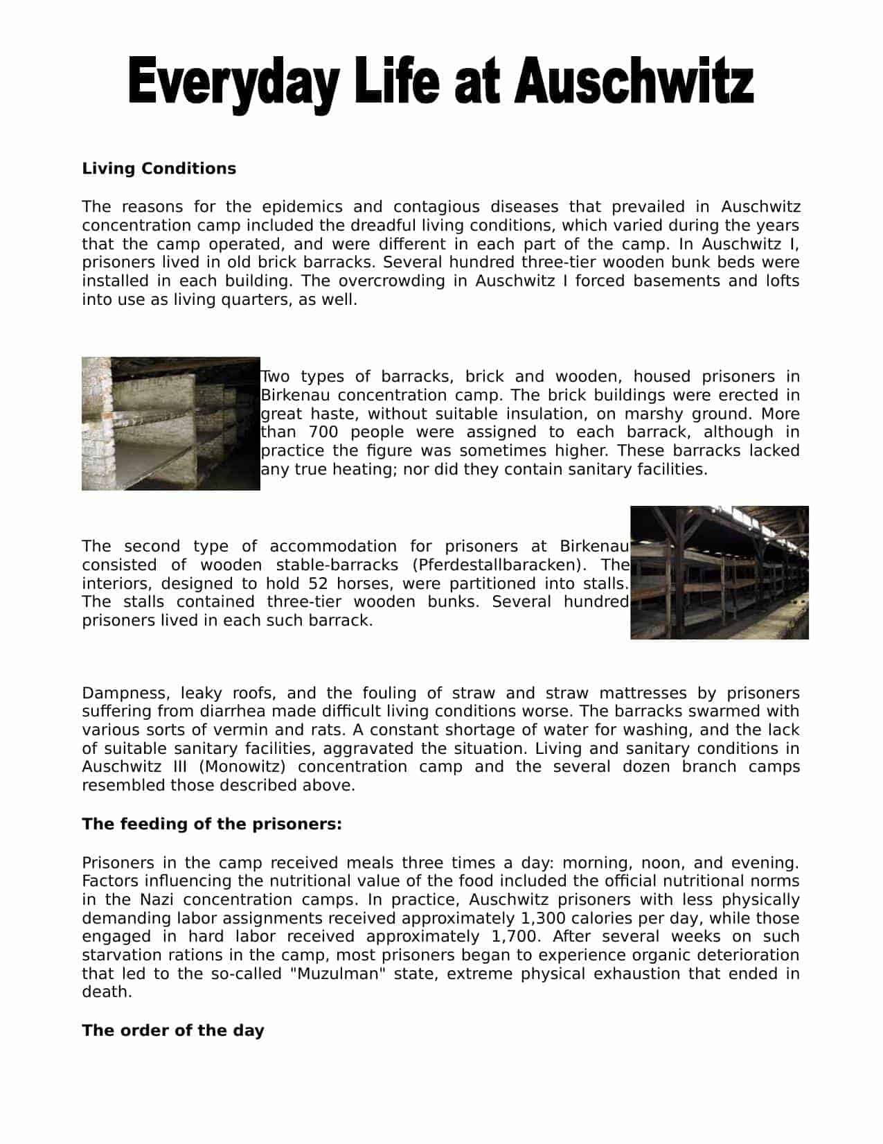 Living Conditions at Auschwitz Facts & Information | Worksheet Resource