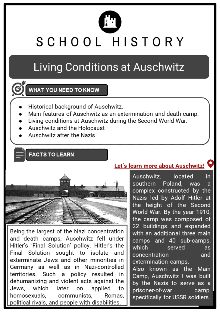 the-holocaust-worksheets-ks3-ks4-lesson-plans-resources
