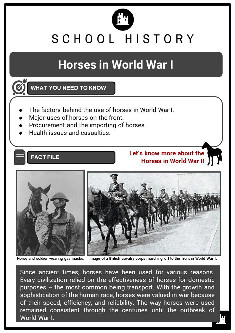 Horses in World War I Facts, Worksheets, Speed, Efficiency & Why Used