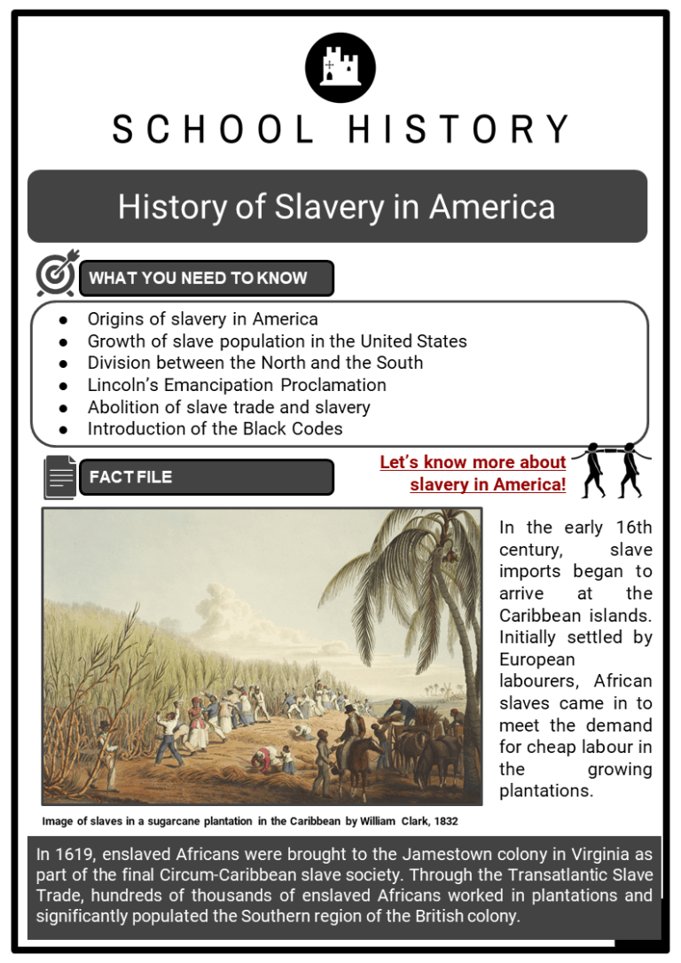 History Of Slavery In America Facts Timeline Worksheets Origins | Sexiz Pix