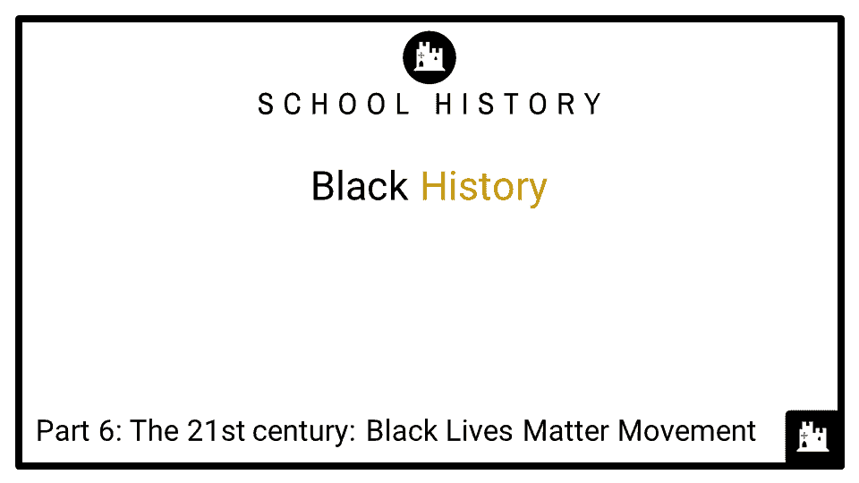 Black History Course_Part 6_The 21st century_ Black Lives Matter Movement