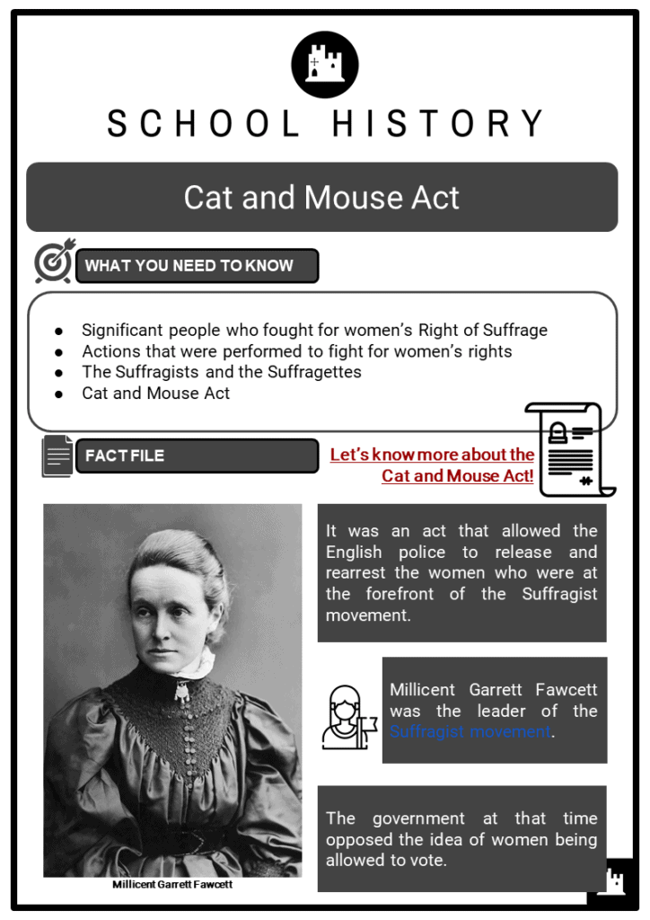 Cat and Mouse Act Resource Collection 1