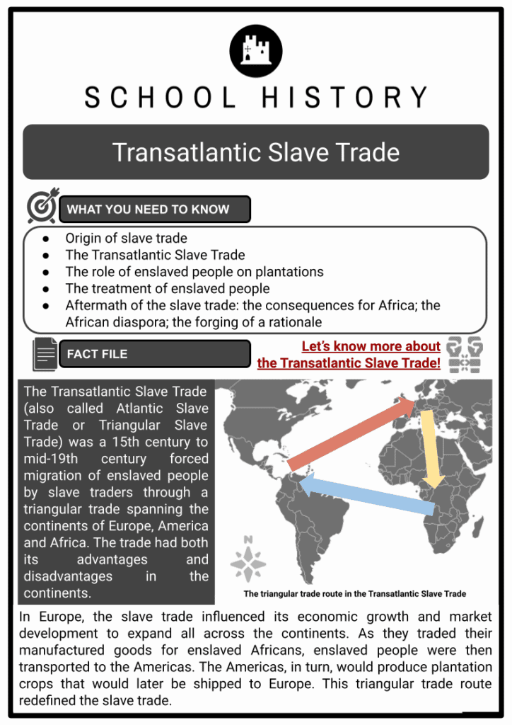 slave ship statistics