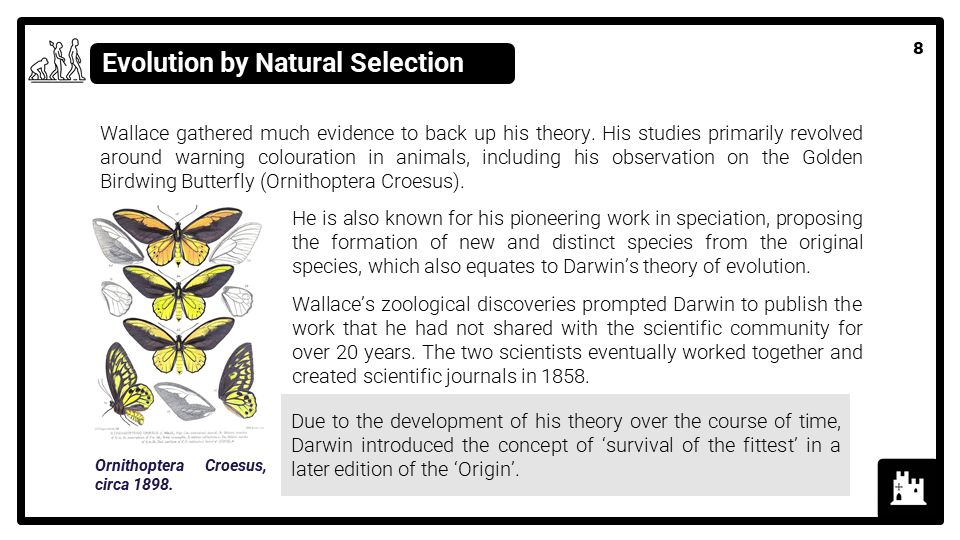 KS3_Area 3_On the Origin of Species_Presentation 4