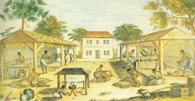 Enslaved Africans working in a tobacco plantation